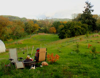 PA050005