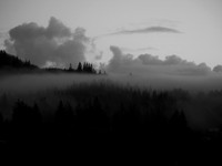 P2030005