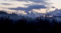 P2030008