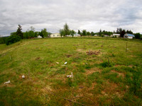 P6070008