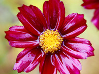 P7070015