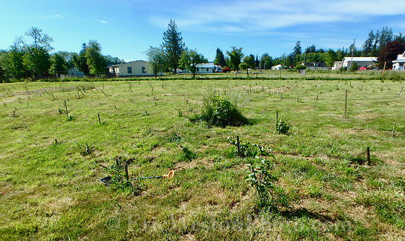 P6020012