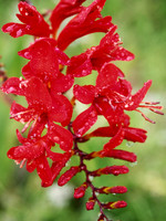 P7070011