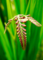P7050021