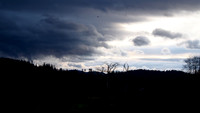 P1170022 (1)