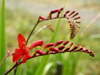 P7050020