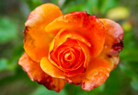 P7050034