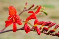 P7050010