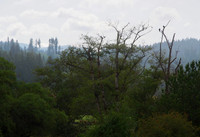 P8040006