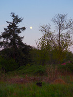 P5020300