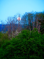 P5030273