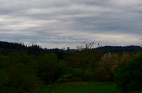 P5040019