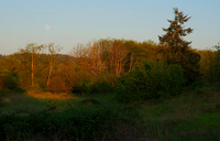 P5020285