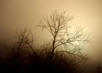 PC010002