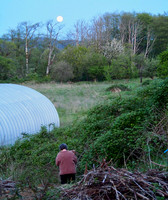 P5030281