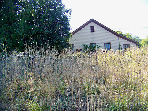 100_0713.JPG