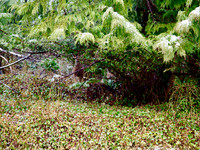 P3060001