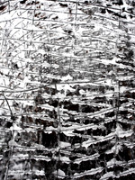 P3050021