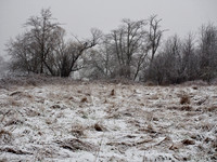 P3050011