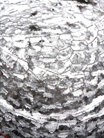 P3050025