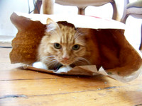 2010 / 12 December