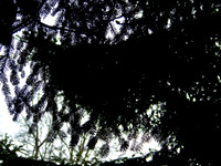 100_4334