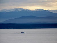 2010 / 02 February