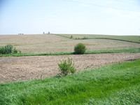 100_7469