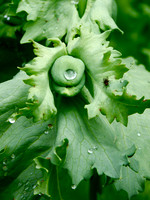 2012 / 07 July