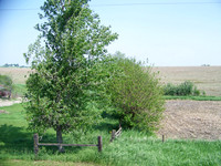 100_7468