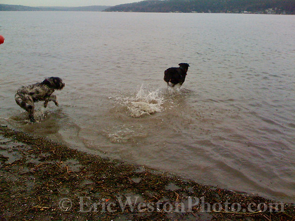 IMG_0141