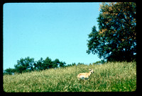 sl198605f5e05
