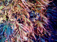 2011 / 09 September