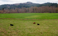 P2030019