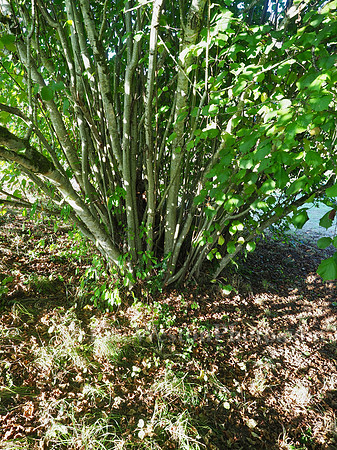 PA070028