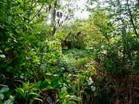 P9030254