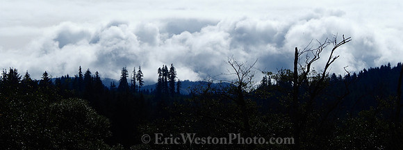 P9030244