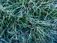 P3120008