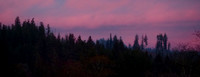 P3040013