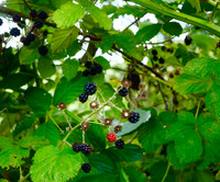P9030251