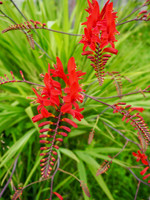 P7060336