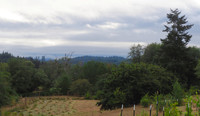 P9030238