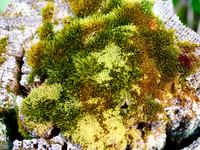 P9030249