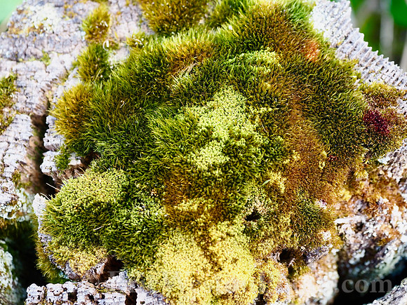 P9030249