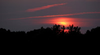 P8020036