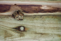 P8040011