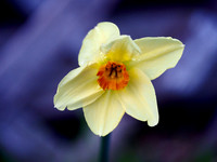 2024 / 03 March