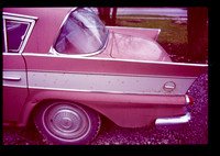 sl19840504a19