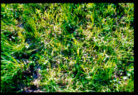 sl19840622a11