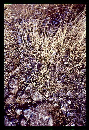 sl19840410a03